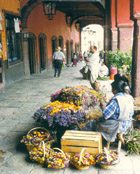 Description of San Miguel Allende