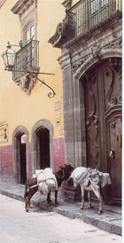 Description of San Miguel Allende